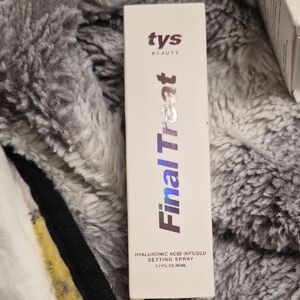 Final Treat Setting Spray - Silver